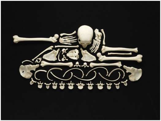 Art-Made-From-Real-Human-Bones-2