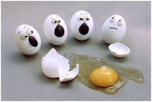 http://www.moolf.com/images/stories/Amazing/Funny-and-Clever-Egg-Photography/Funny-and-Clever-Egg-Photography-2.jpg