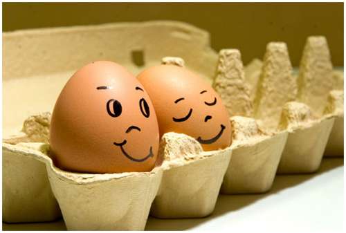Funny-and-Clever-Egg-Photography-8