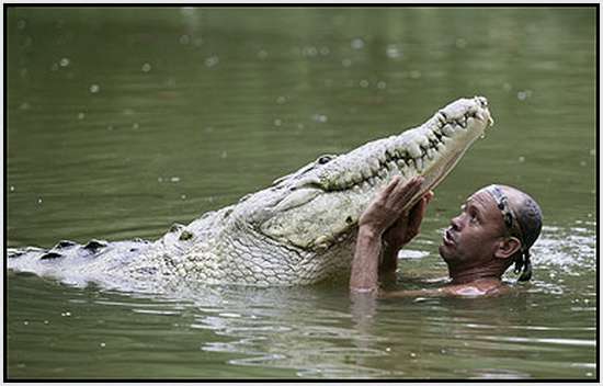 The Real Crocodile Dundee 2 Siapa berani seperti pria ini