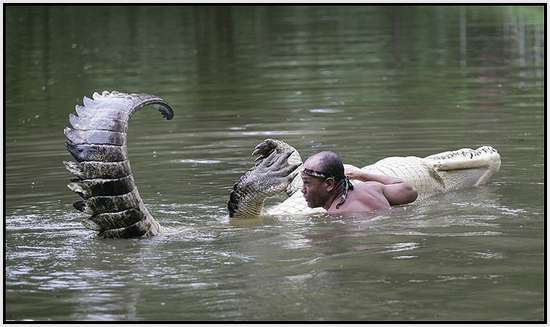 The-Real-Crocodile-Dundee-3