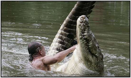 The Real Crocodile Dundee 4 Siapa berani seperti pria ini