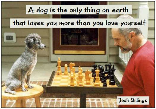 funny quotes funny quotes. funny-quotes-1. A dog is the only thing on earth that loves you more than 