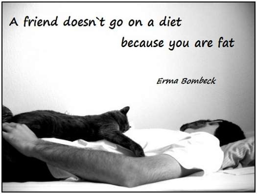 funny quotes on friendship. funny quotes about friendship.