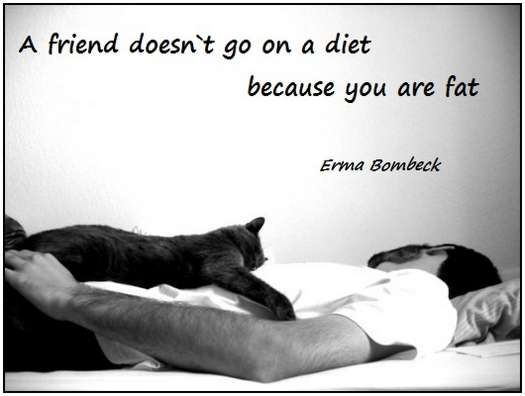 short funny quotes. funny-quotes-2. A friend doesn`t go on a diet because you are fat (Erma 