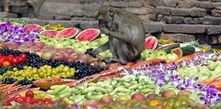 Interesting-Monkey-Festival-in-LopBuri-Thailand