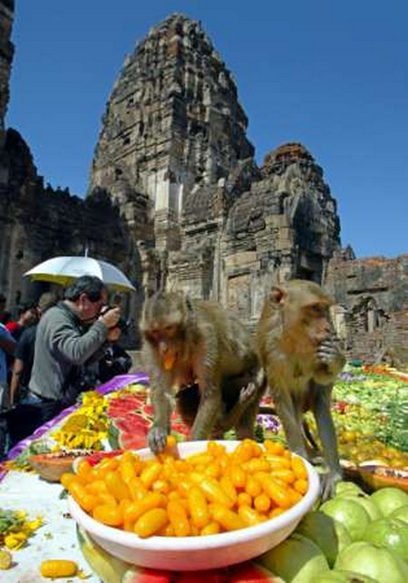 Interesting-Monkey-Festival-in-LopBuri-Thailand-12