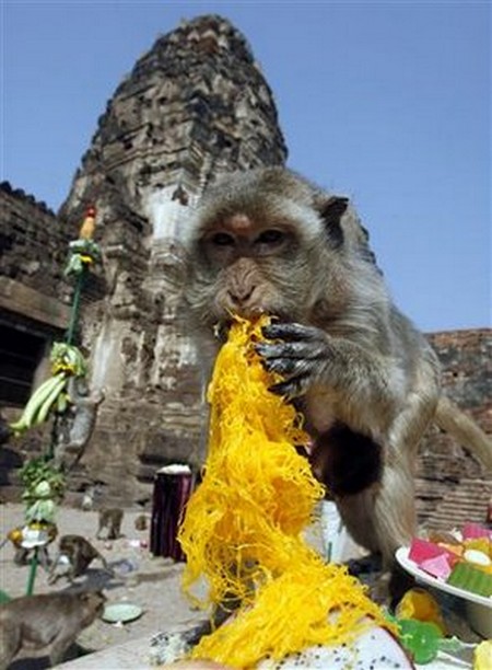 Interesting-Monkey-Festival-in-LopBuri-Thailand-24