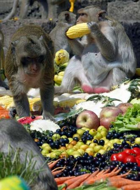 Interesting-Monkey-Festival-in-LopBuri-Thailand