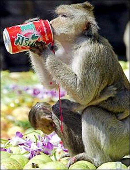 Interesting-Monkey-Festival-in-LopBuri-Thailand