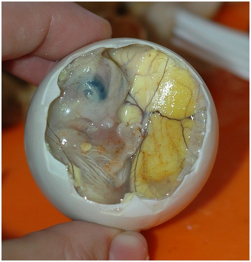 Balut