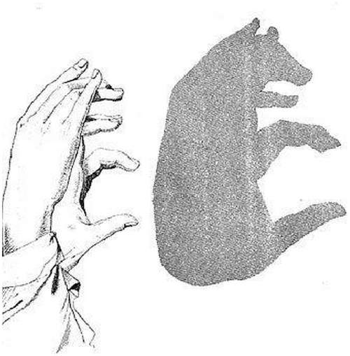 Hand-Shadow-Arts-10