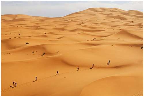 Marathon-des-Sables-3