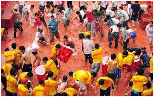 Tomato-Fight-in-China-11