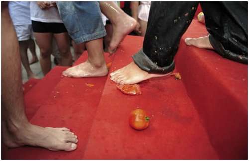 Tomato-Fight-in-China-7