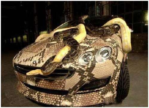 Weird-Snake-Car-3