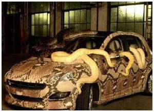 Weird-Snake-Car