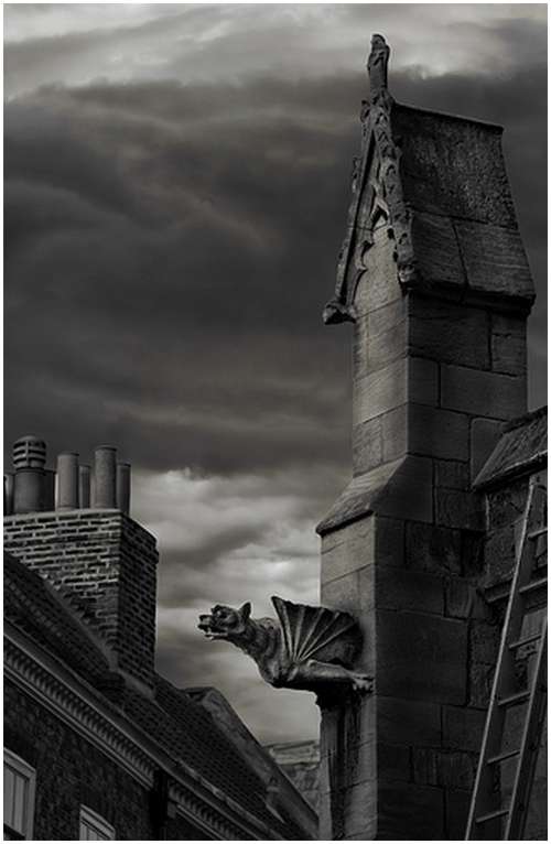 Amazing-Photos-of-Gargoyles-and-Grotesques-1