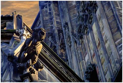 Amazing-Photos-of-Gargoyles-and-Grotesques-3