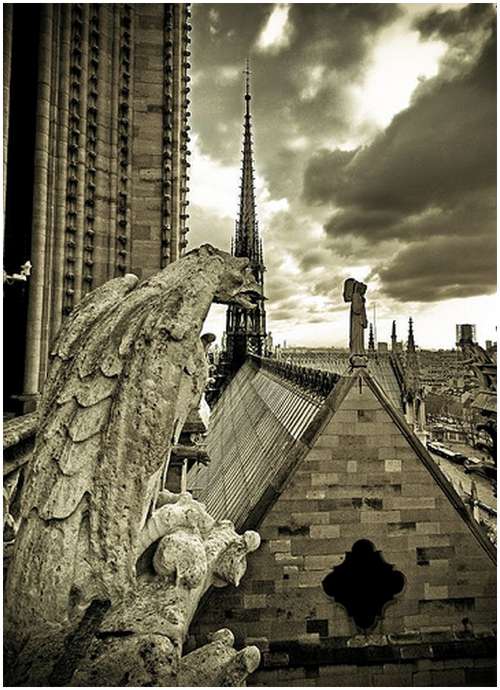 Amazing-Photos-of-Gargoyles-and-Grotesques-6