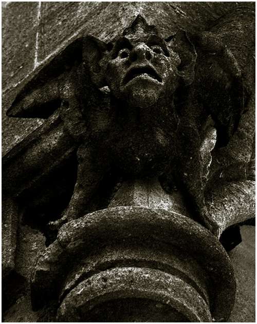 Amazing-Photos-of-Gargoyles-and-Grotesques-8