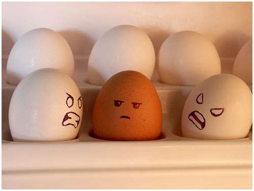 Funny-and-Clever-Egg-Photography-16
