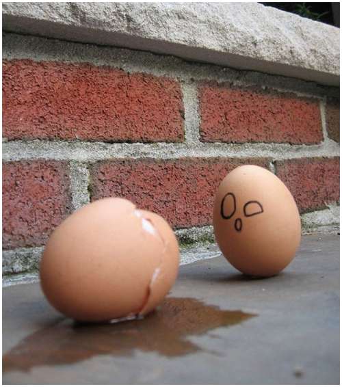 Funny-and-Clever-Egg-Photography-18