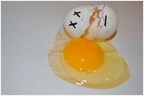 Funny-and-Clever-Egg-Photography-20