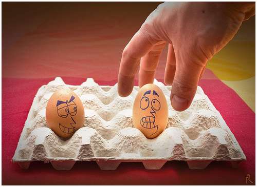 Funny-and-Clever-Egg-Photography-21