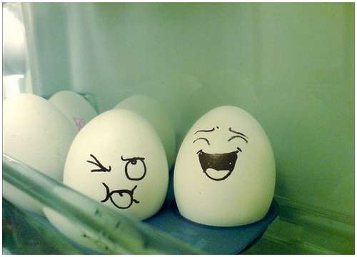 Funny-and-Clever-Egg-Photography-4