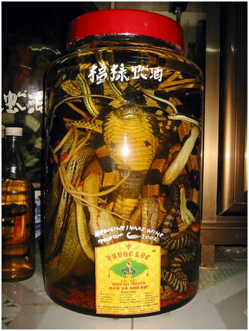 The-famous-snake-wine-1