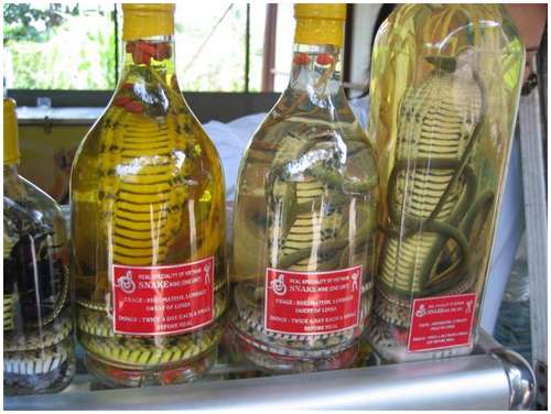 The-famous-snake-wine-10