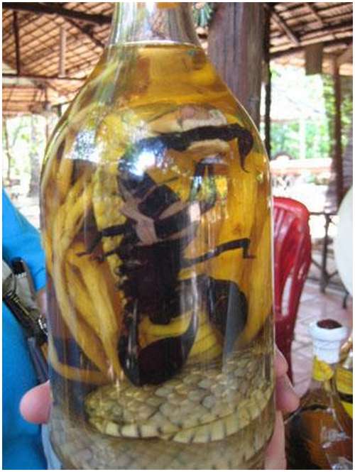 The-famous-snake-wine-11