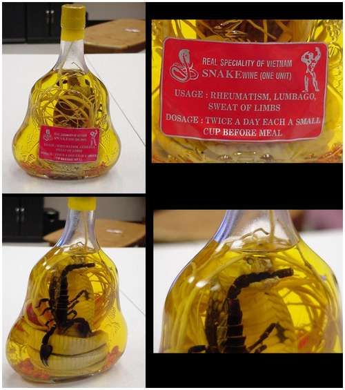 The-famous-snake-wine-12