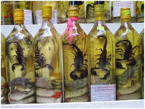 The-famous-snake-wine-2