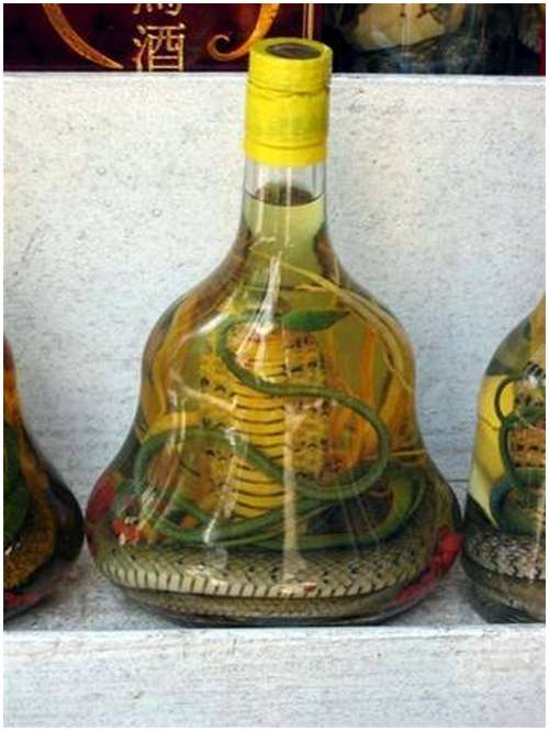 The-famous-snake-wine-4