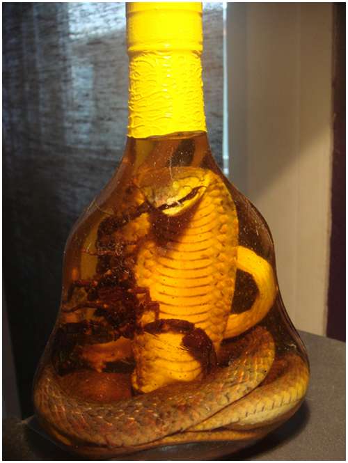 The-famous-snake-wine-9