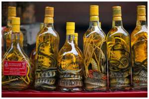 The-famous-snake-wine