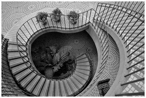 Collection-of-Wonderful-Stairs-Pictures-12