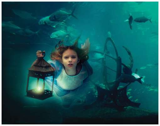 Amazing-Underwater-Photo-Sets-14