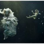 Amazing Underwater Photo Sets