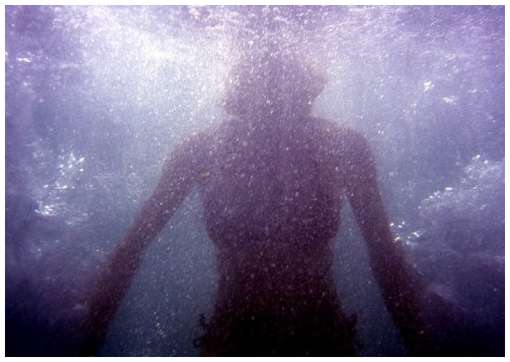 Under-Water-Photographs-by-James-Cooper-11