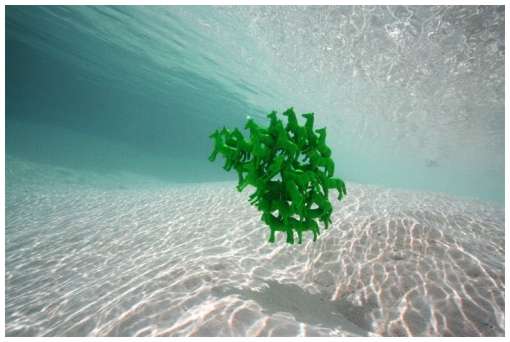 Under-Water-Photographs-by-James-Cooper-12