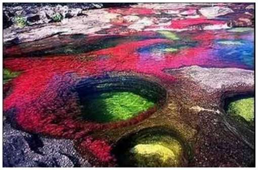 Cano-Cristales-5