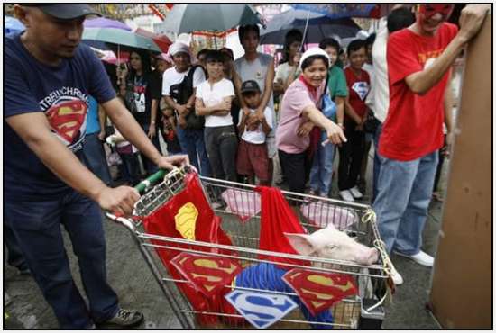 Costumed-parade-of-hogs-in-Bulacan-of-Manila-5