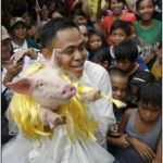 Costumed parade of hogs in Bulacan of Manila