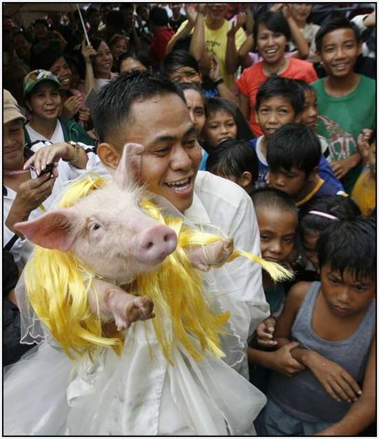 Costumed-parade-of-hogs-in-Bulacan-of-Manila-7