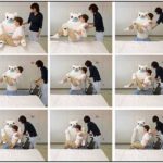 Robotic Bear Helps Nurses Carry Patients