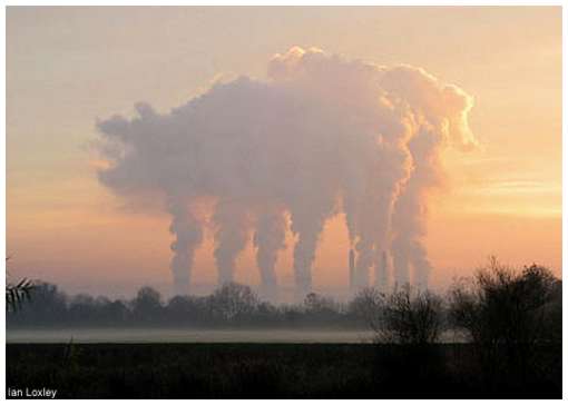 A pig with six legs, 'walking' over the Trent at Gainsborough in Lincolnshire