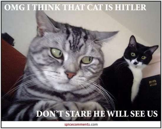 Adolf-Hitler-Funny-Pictures-5